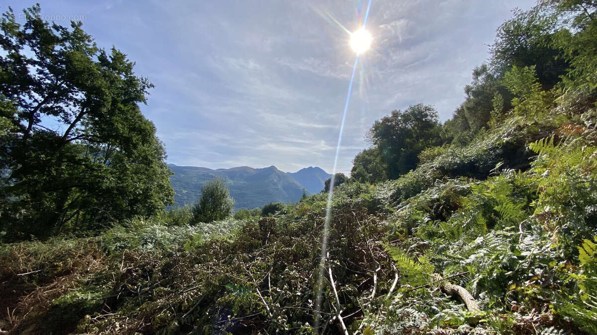 Maison à ARGELES-GAZOST