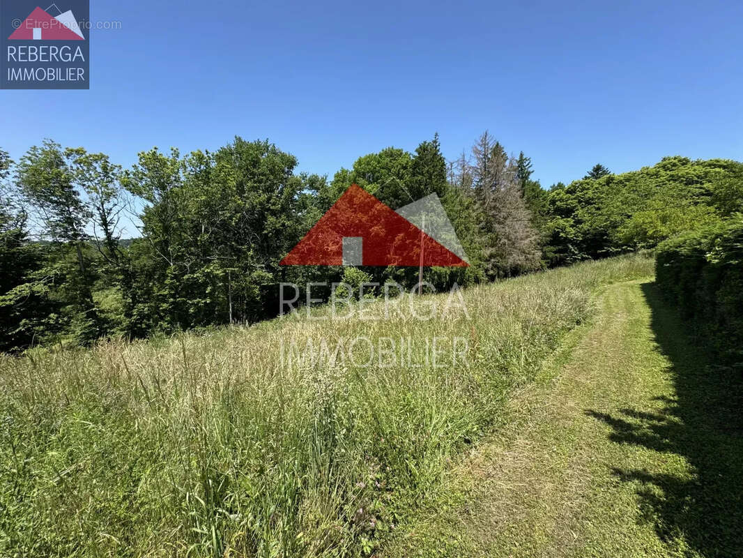 Terrain à PONT-DE-LARN