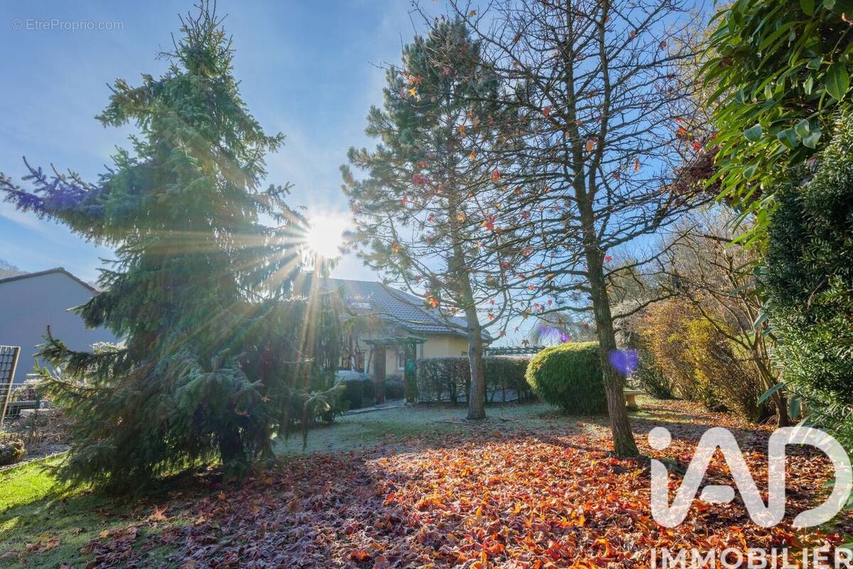 Photo 1 - Maison à OTTANGE