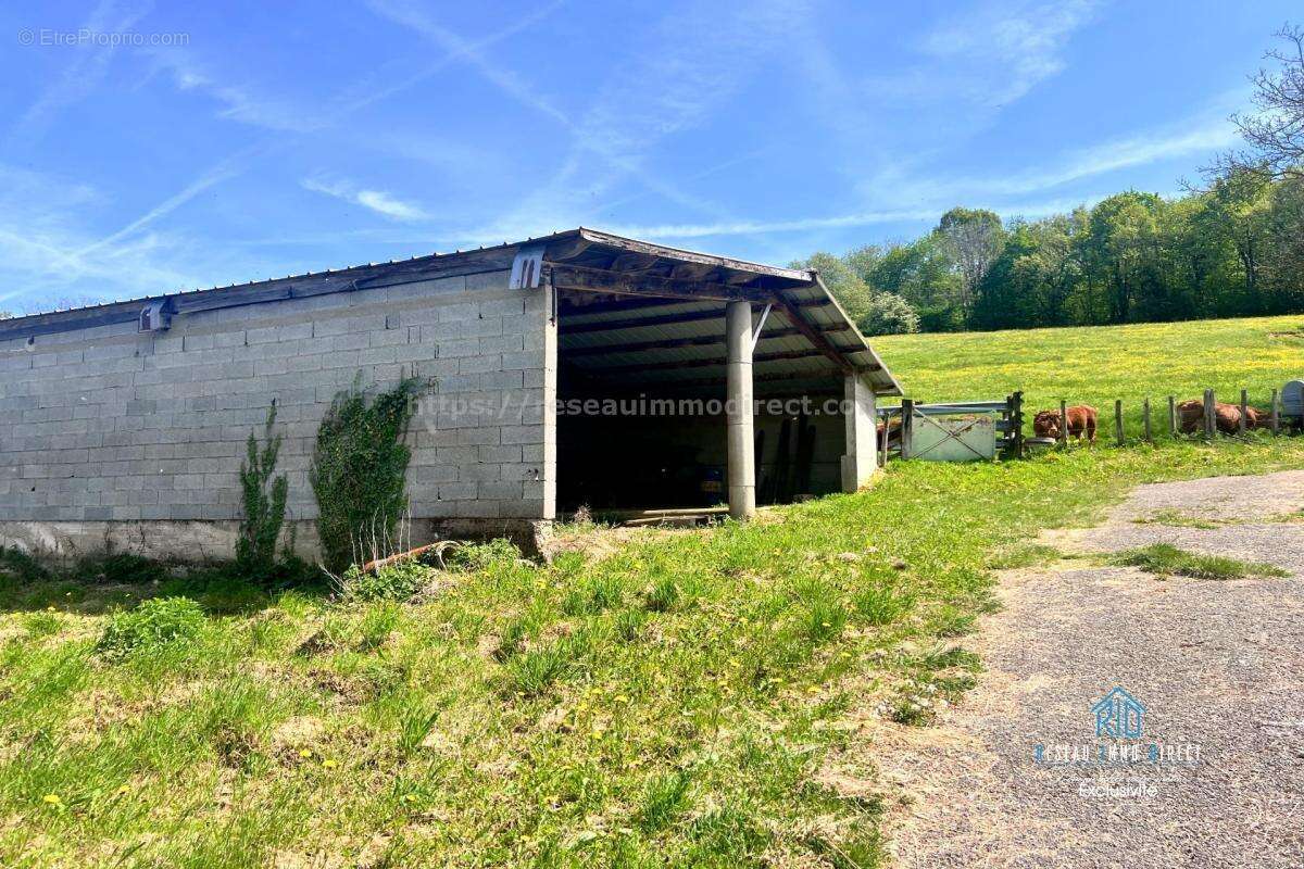 Ferme/équiation/terrain - photo 15
