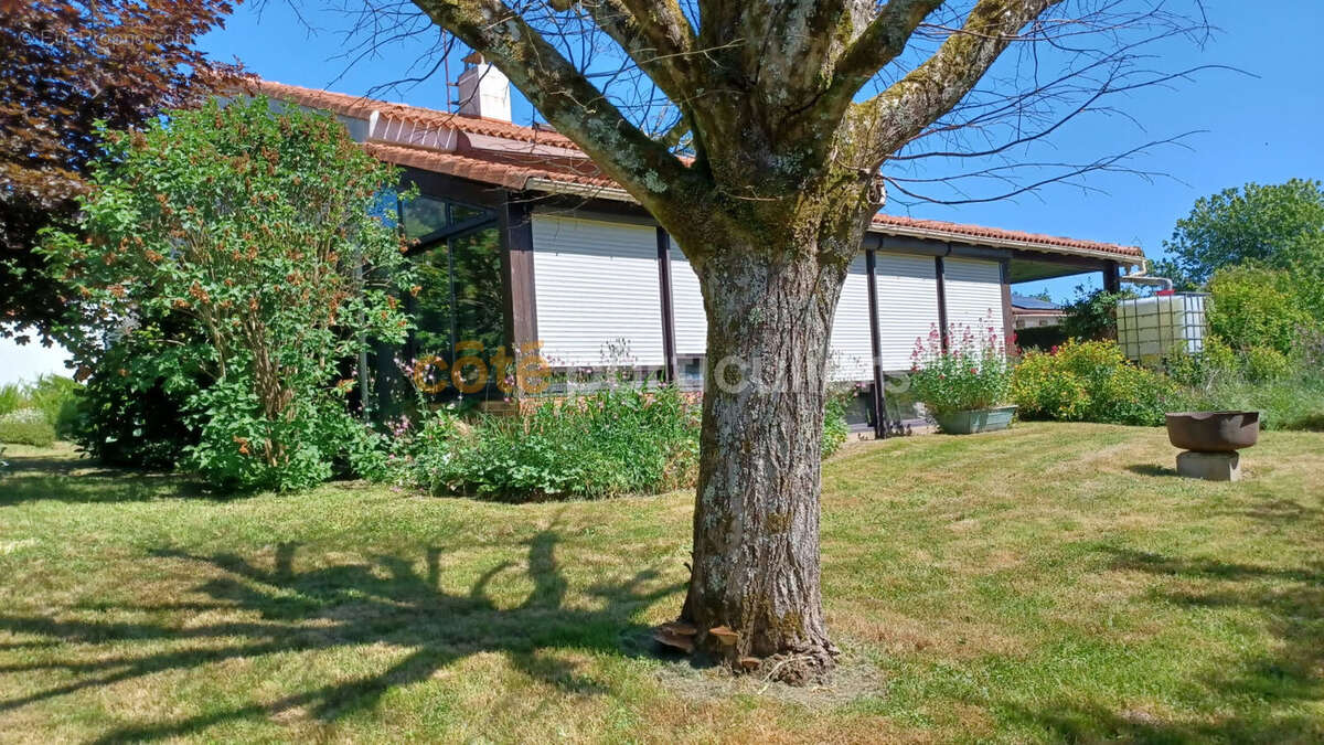 Maison à SAINT-LAURENT-SUR-SEVRE