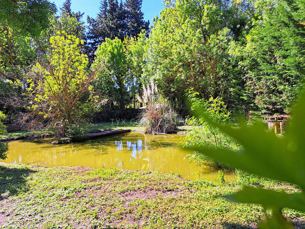 Maison à SAINT-REMY-DE-PROVENCE
