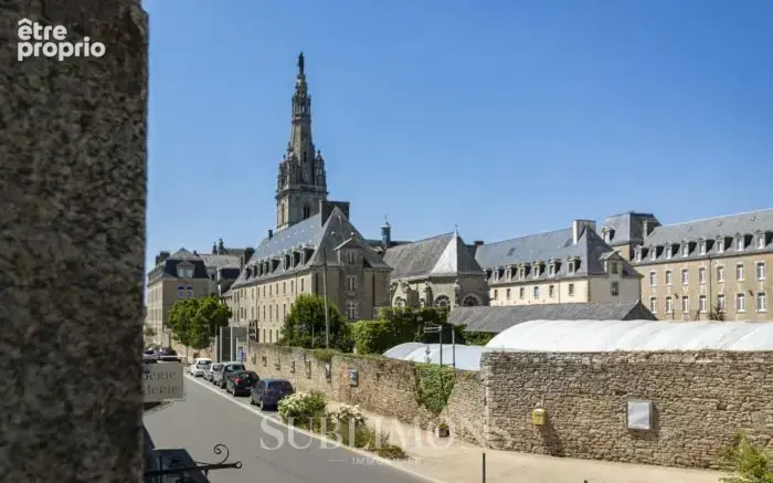 Appartement rénové avec jardinet privatif au coeur de Sainte-A - photo 7