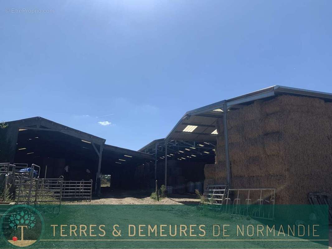 A VENDRE en NORMANDIE dans le département du CALVADOS région LE MOLAY-LITRY (14330) une exploitation agricole herbagère d'une su - photo 18