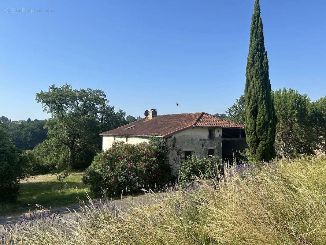 Ferme spacieuse de 220 m² avec maison d'amis et terrain équestre près de Moissac - photo 19