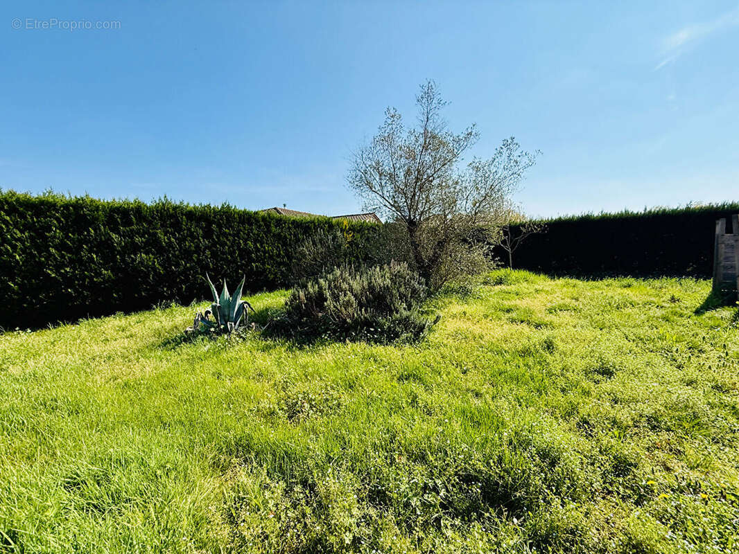 Maison à VILLENEUVE-SUR-LOT