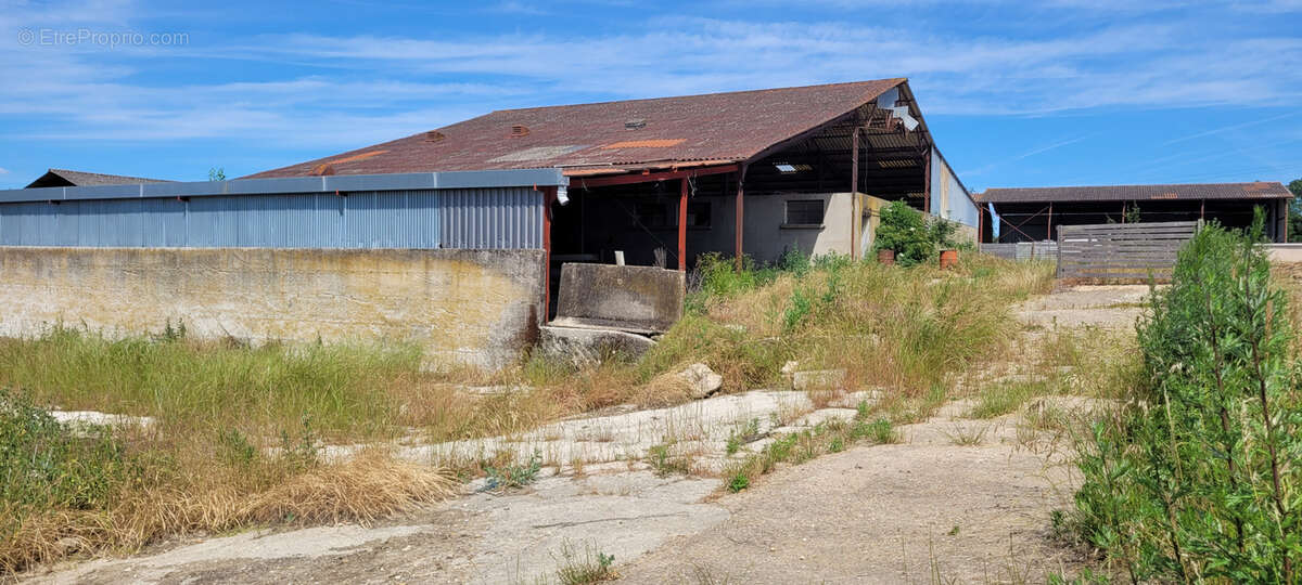 Commerce à CRUZILLES-LES-MEPILLAT