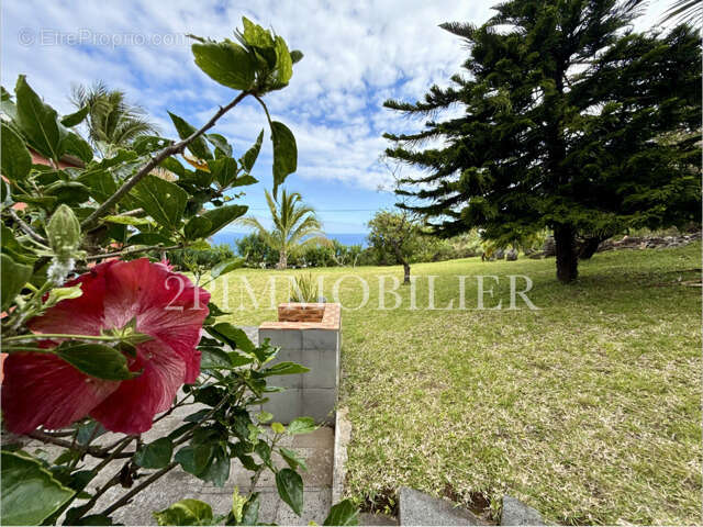 Maison à SAINT-JOSEPH