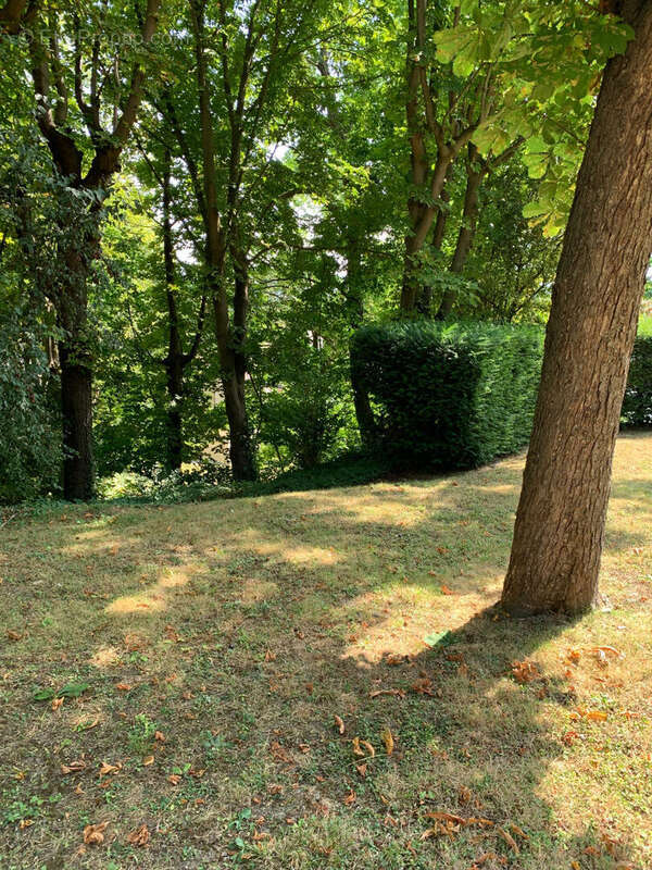 Appartement à SAINT-GERMAIN-EN-LAYE