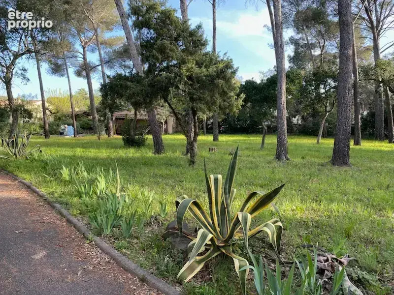 Villa provençale de 150M2 sur un terrain de 5000M2 BEAUCOUP DE POTENTIELS. - photo 2