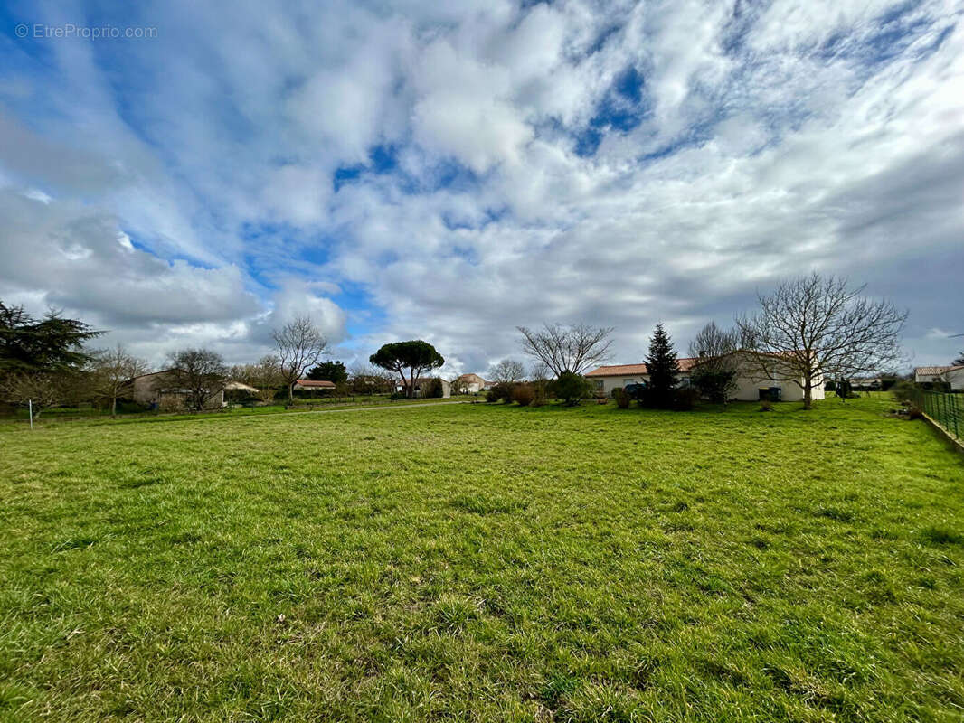 Terrain à SAINTE-NEOMAYE