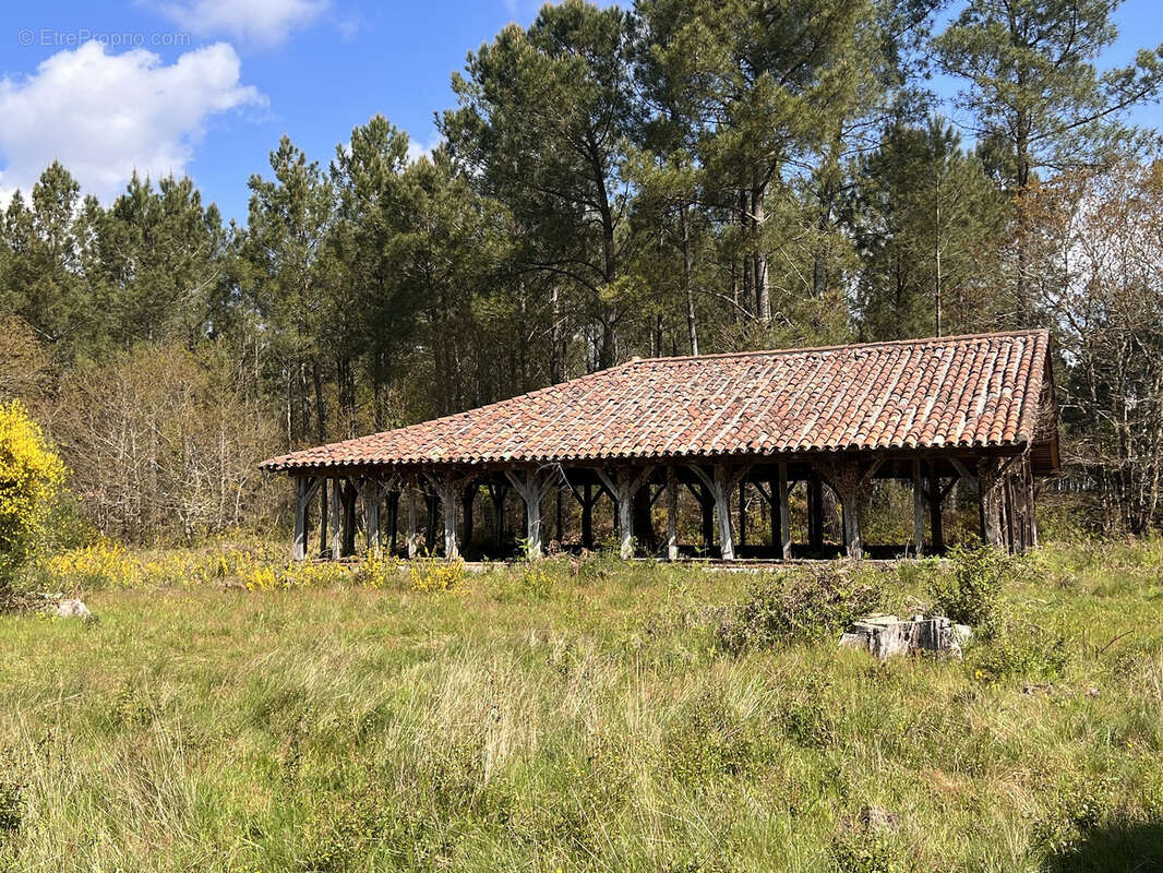 Maison à ONESSE-ET-LAHARIE