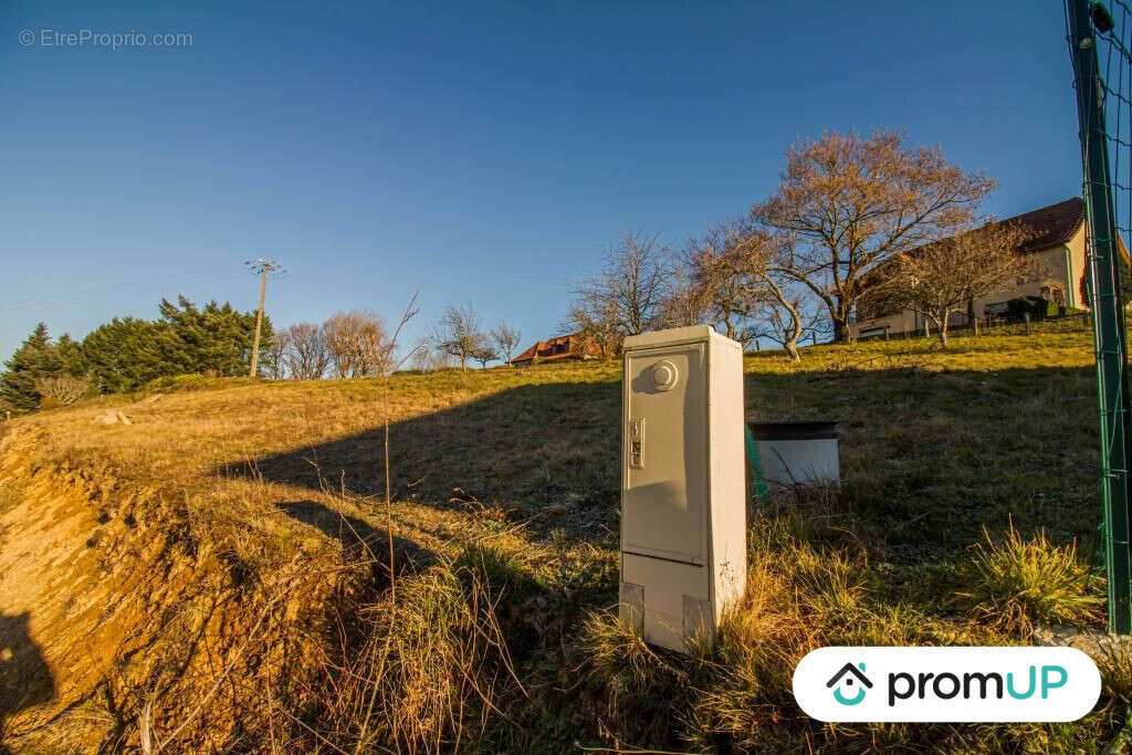 Terrain à SAINTE-FORTUNADE