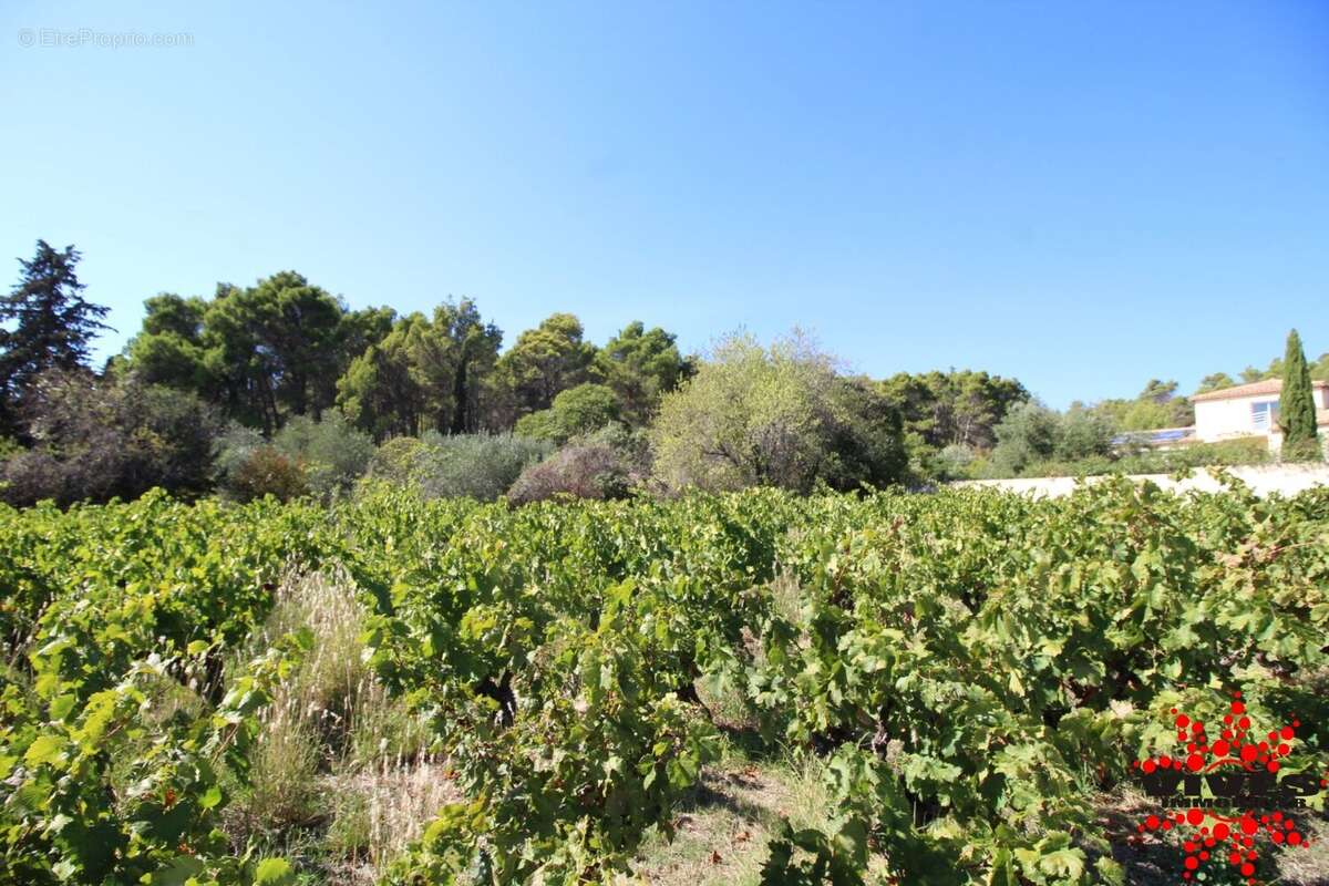 Terrain à MONTOULIERS