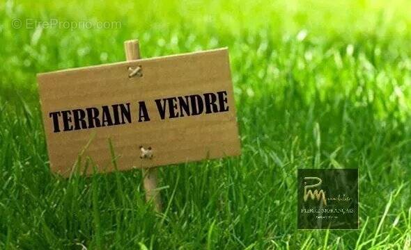Terrain à SAVIGNE-L&#039;EVEQUE