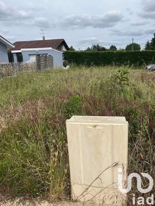 Photo 2 - Terrain à BELIN-BELIET