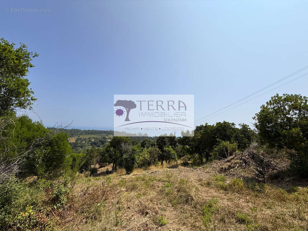 Terrain à SARI-SOLENZARA