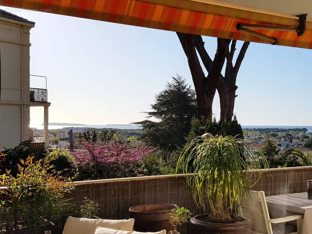 Appartement à MANDELIEU-LA-NAPOULE