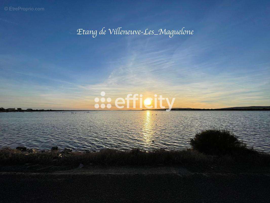 Maison à VILLENEUVE-LES-MAGUELONE