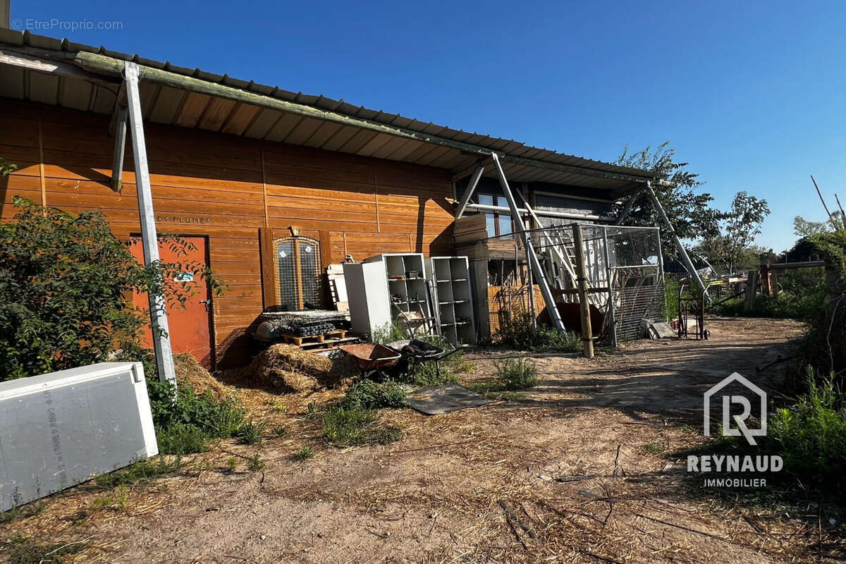 Maison 550 m² à Gignac  - photo 2