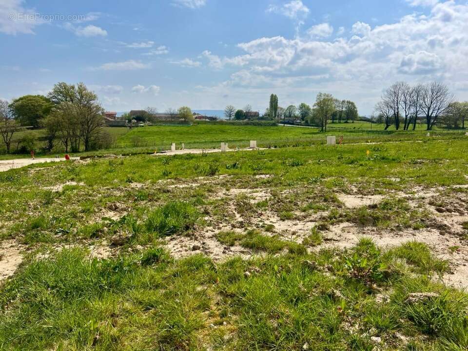 Terrain à MARBOZ