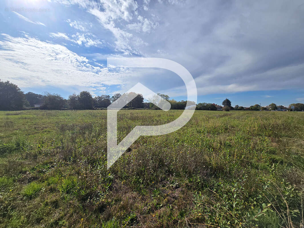 Terrain à HAGETAUBIN