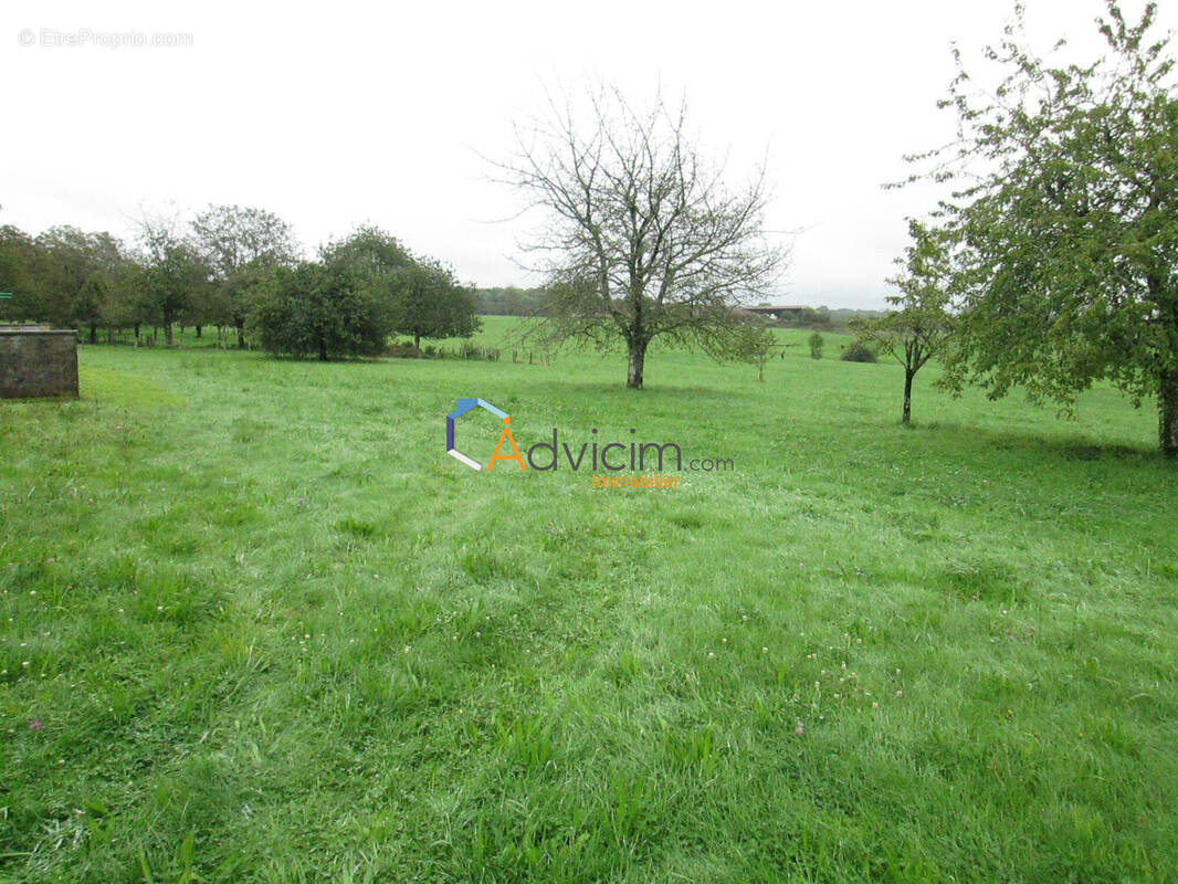 Terrain à LA BRUYERE