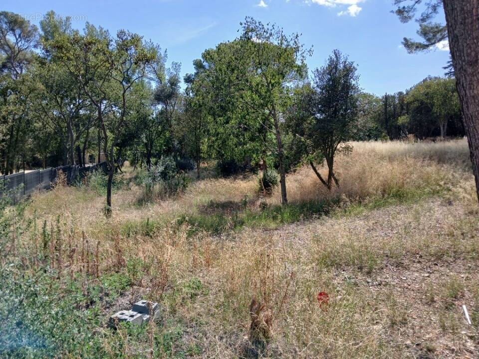 Terrain à COURNONSEC