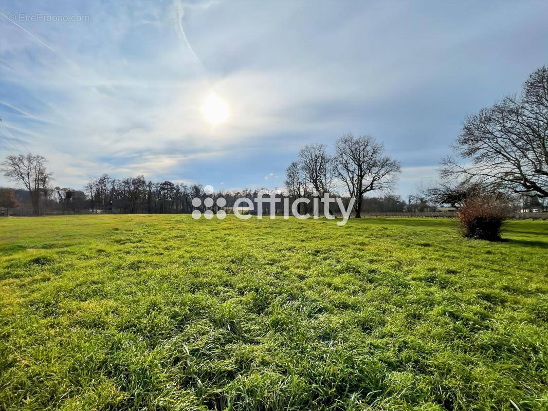 Terrain à LES ARTIGUES-DE-LUSSAC