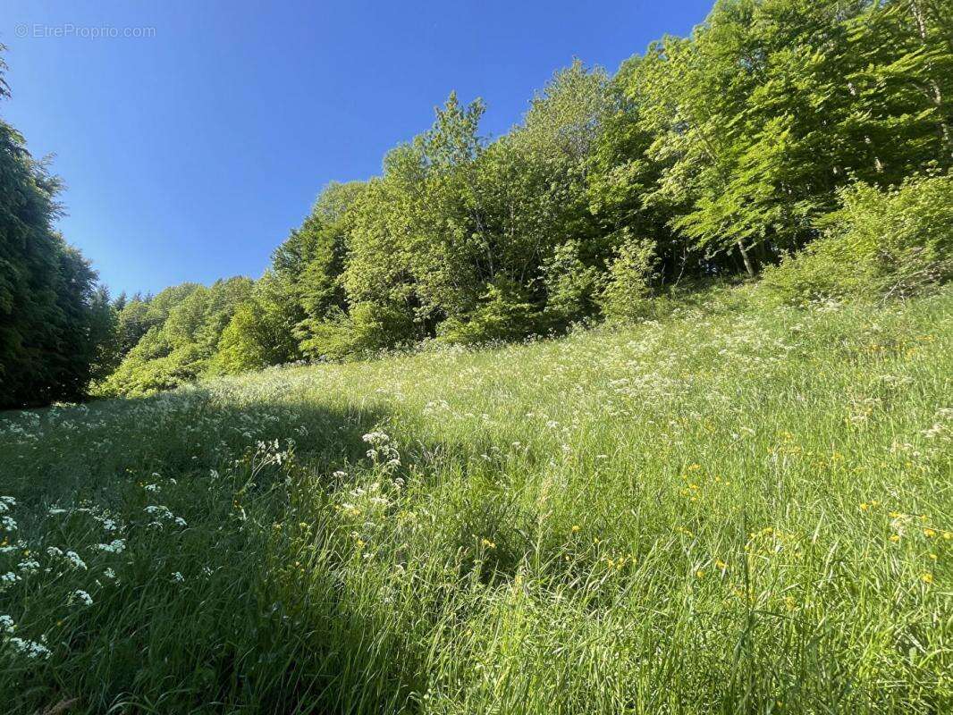 Maison à SAINT-LAURENT-DU-CROS