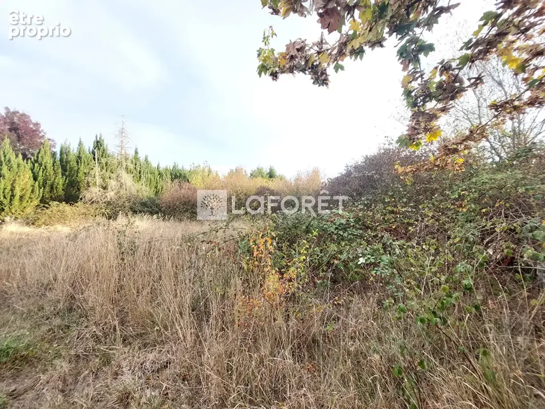 Terrain 630 m2 + Projet de Construction Maison 102 m2 à Vigy Parcelle n° 2 - photo 7