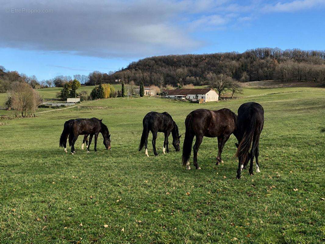 Domaine de caractère avec installations équestres exceptionnelles sur 40 hectares - photo 17