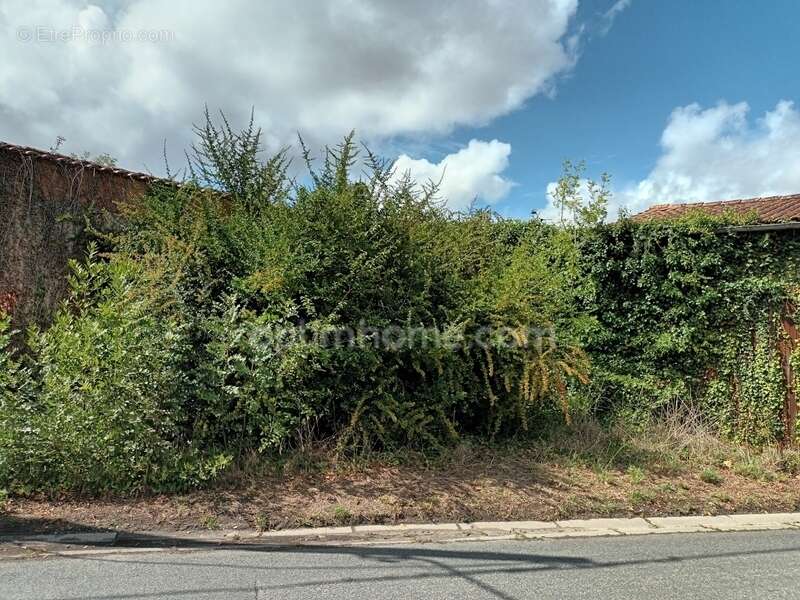 Maison à SAINT-ESTEPHE