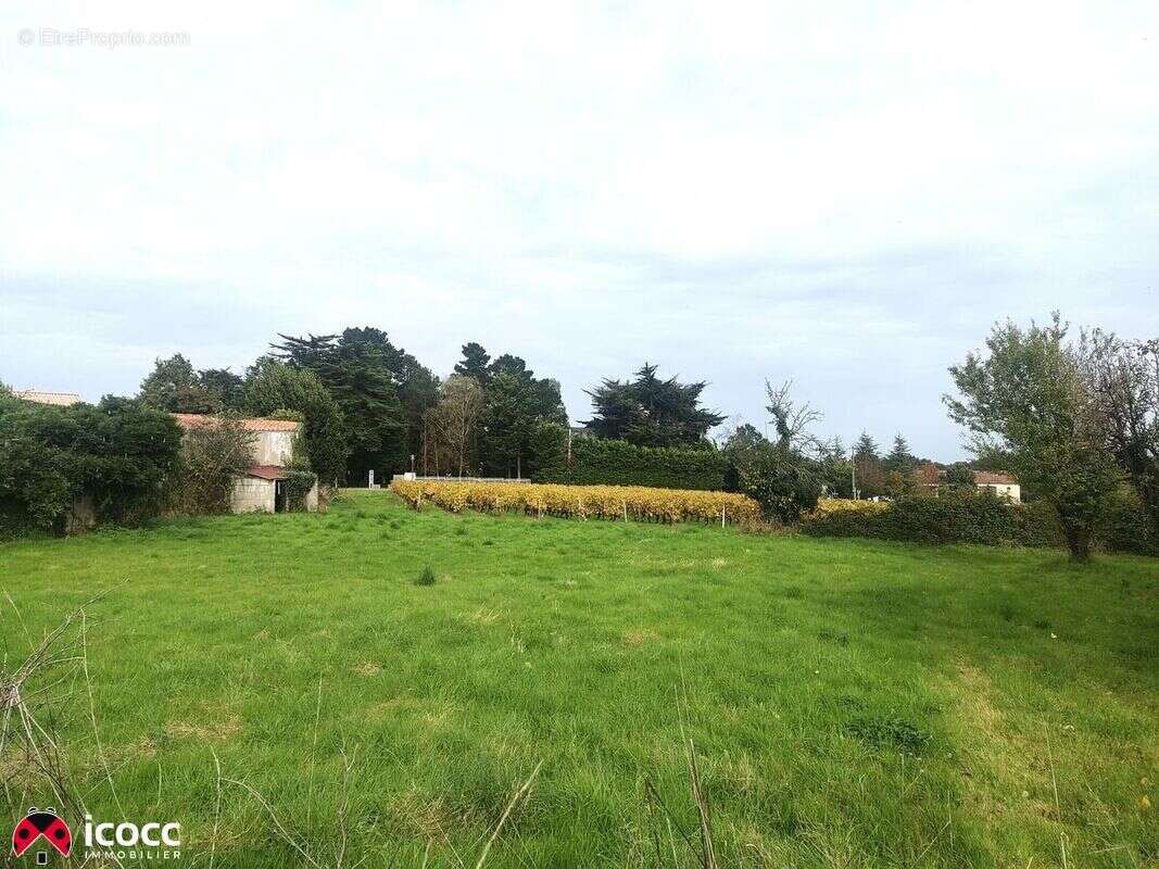 Terrain 675 m² à Rosnay  - photo 3