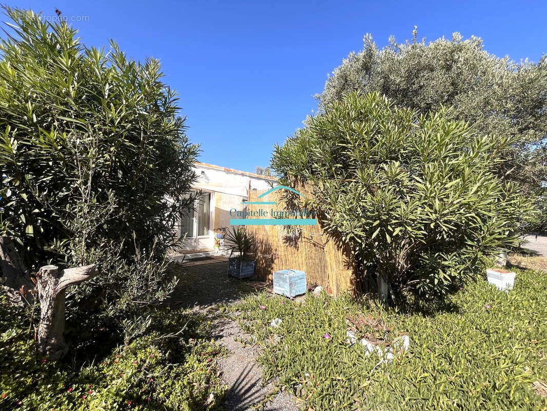 Maison à MARSEILLAN