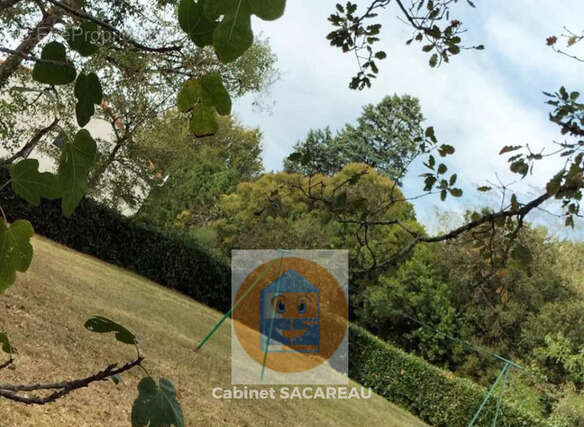 Maison de village T3, 75 m² hab. sur 2245 m² de terrain - photo 20