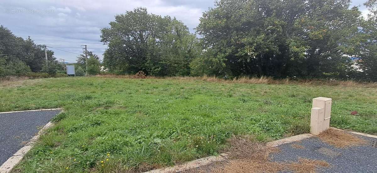 Photo 4 - Terrain à LABRUGUIERE