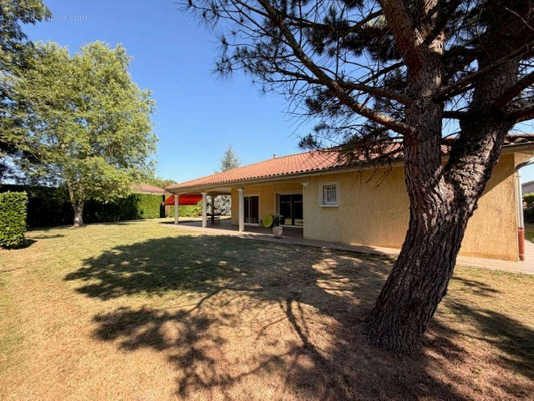 RARE, Villa plain-pied 150 m², 4 chambres, Terrain 1362 m², Double garage - photo 13