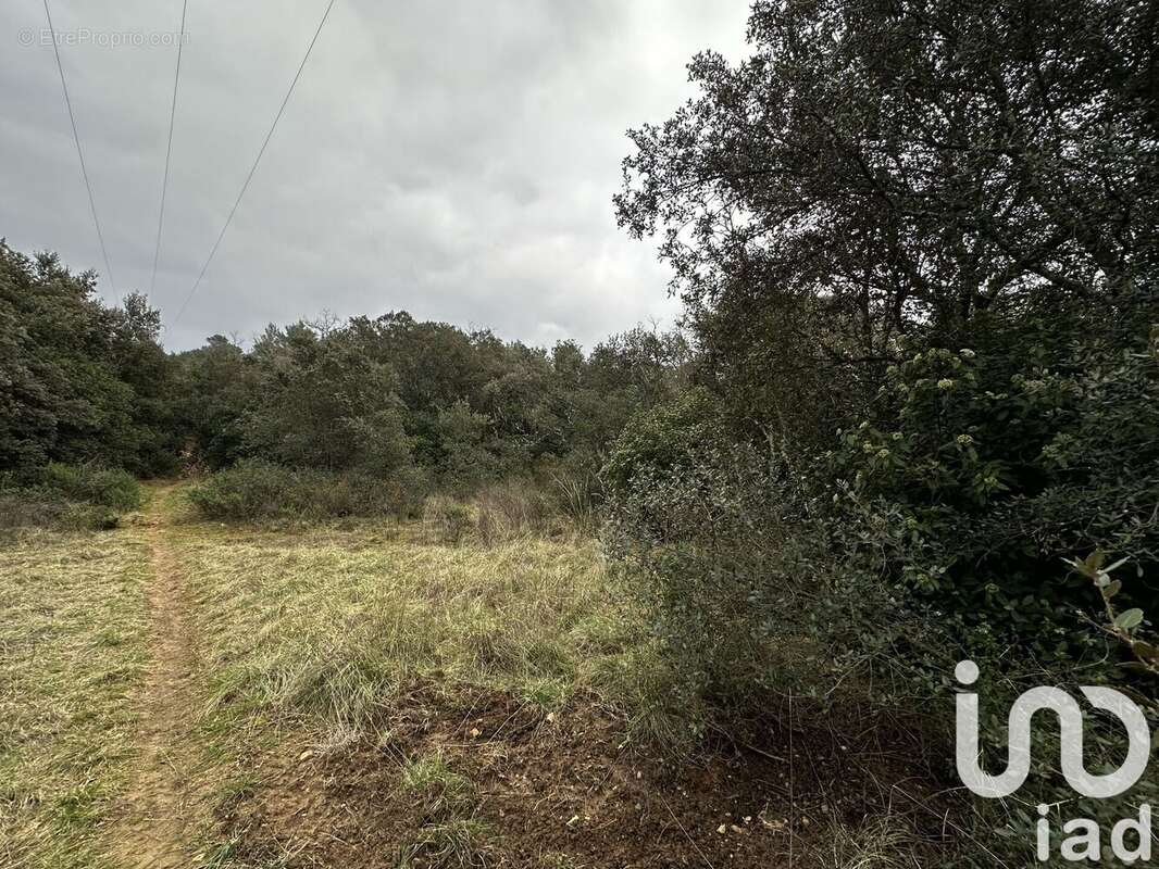 Photo 2 - Terrain à BERNIS