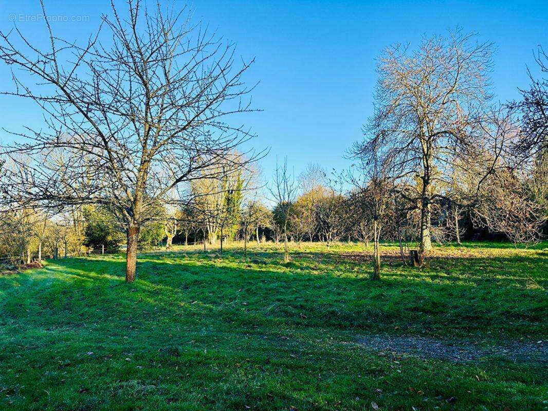 Maison à PONT-L&#039;EVEQUE