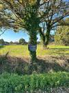 Terrain à SAINT-LYPHARD