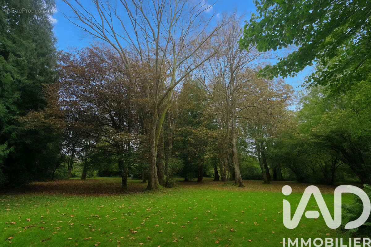 Photo 9 - Maison à MONTREUX-CHATEAU
