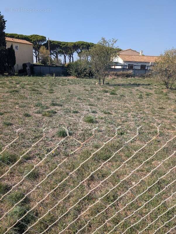 Terrain à SALLELES-D'AUDE