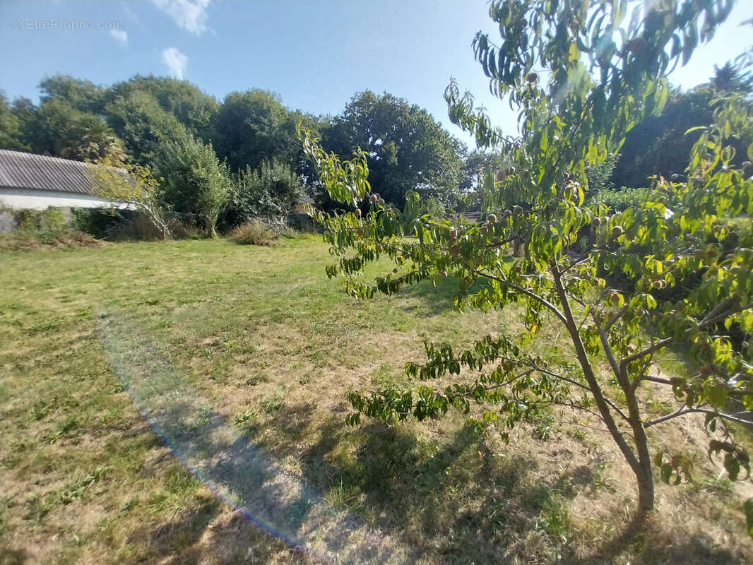 LOCTUDY - Terrain proche centre - photo 3