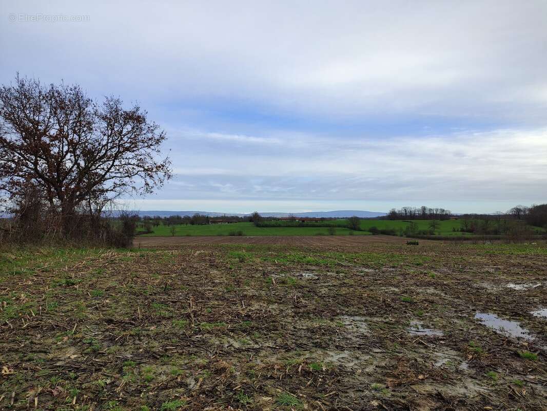 Terrain à LESCHEROUX