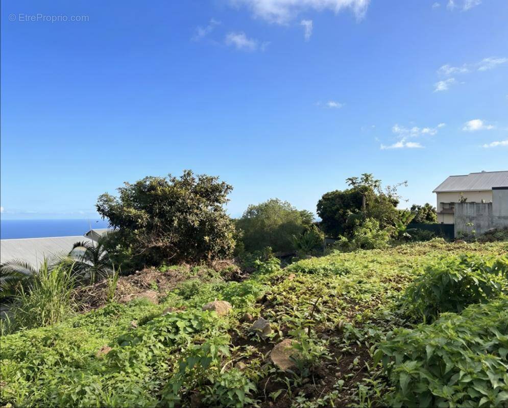 Terrain à SAINT-PAUL