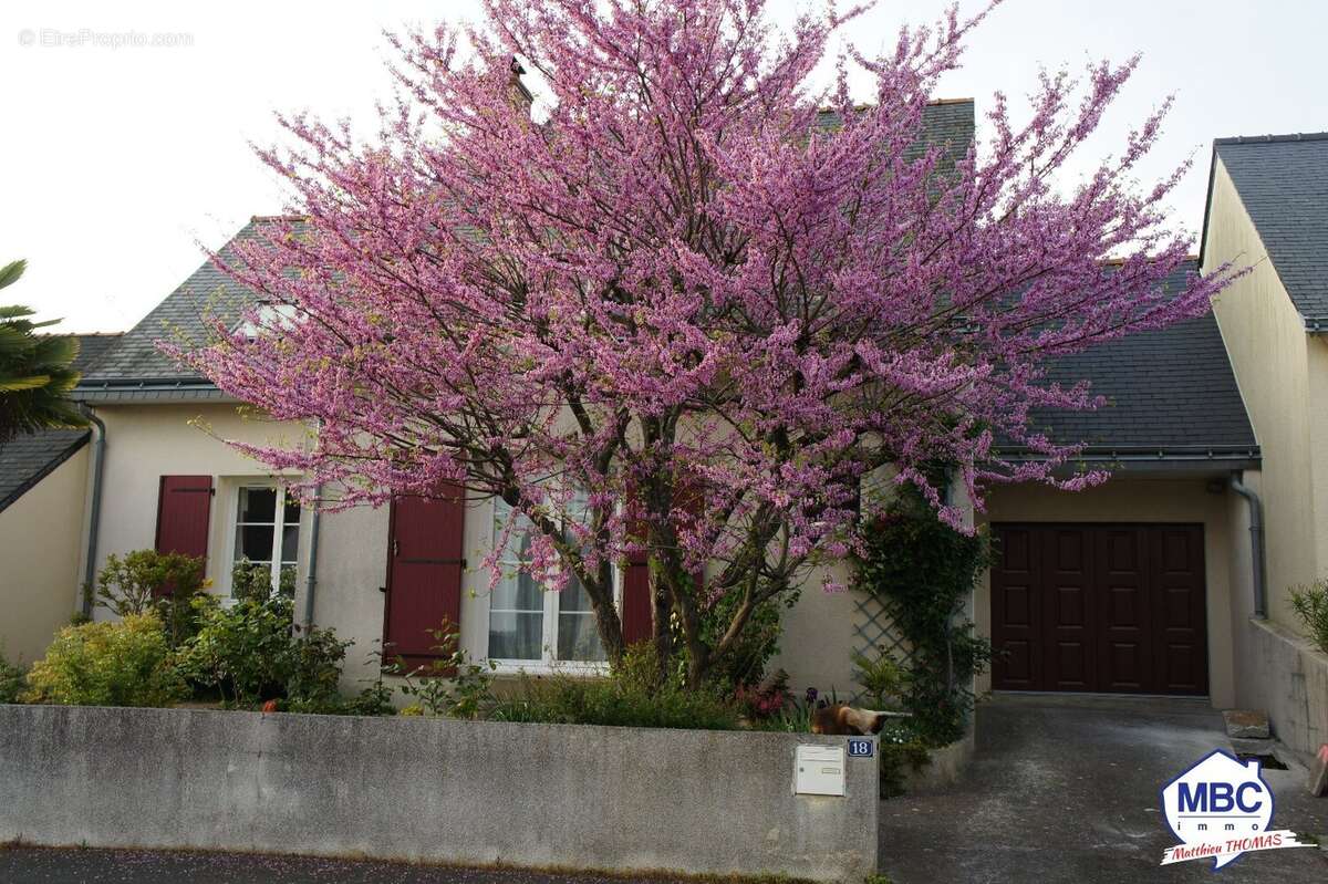 Maison à SAINT-FLORENT-LE-VIEIL