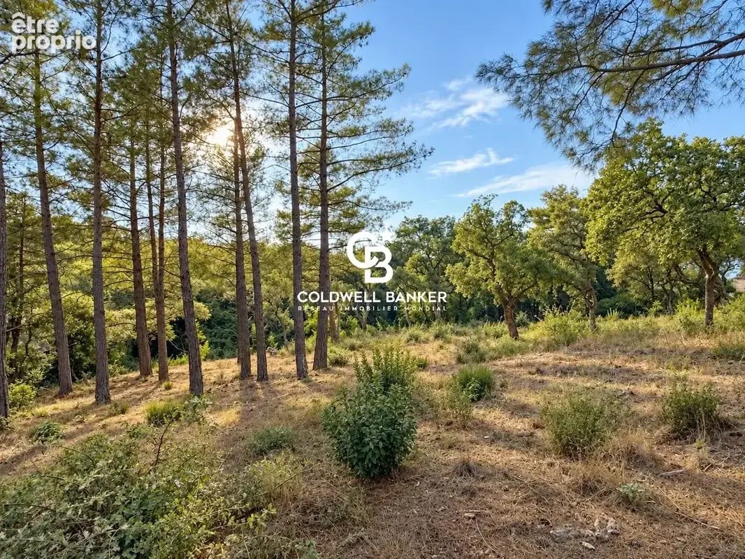 Grimaud – Beauvallon / Bartole – Terrain constructible de 3221 m² avec permis purgé - photo 4