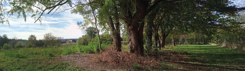 Terrain à VINCELLES