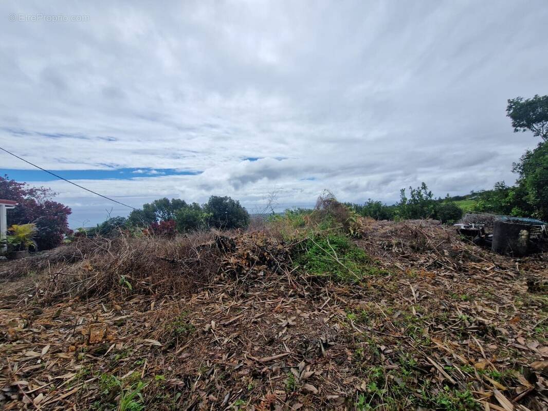 Terrain à SAINTE-MARIE
